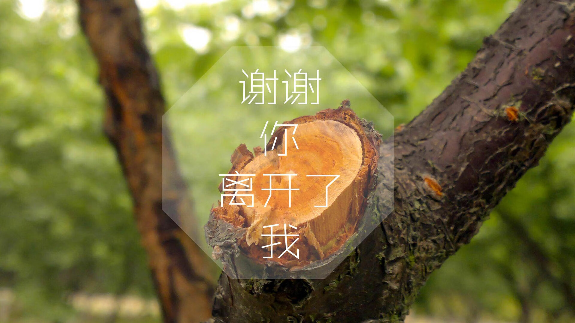 Dota 2 赛季中期战况复杂多变，dota2新赛制