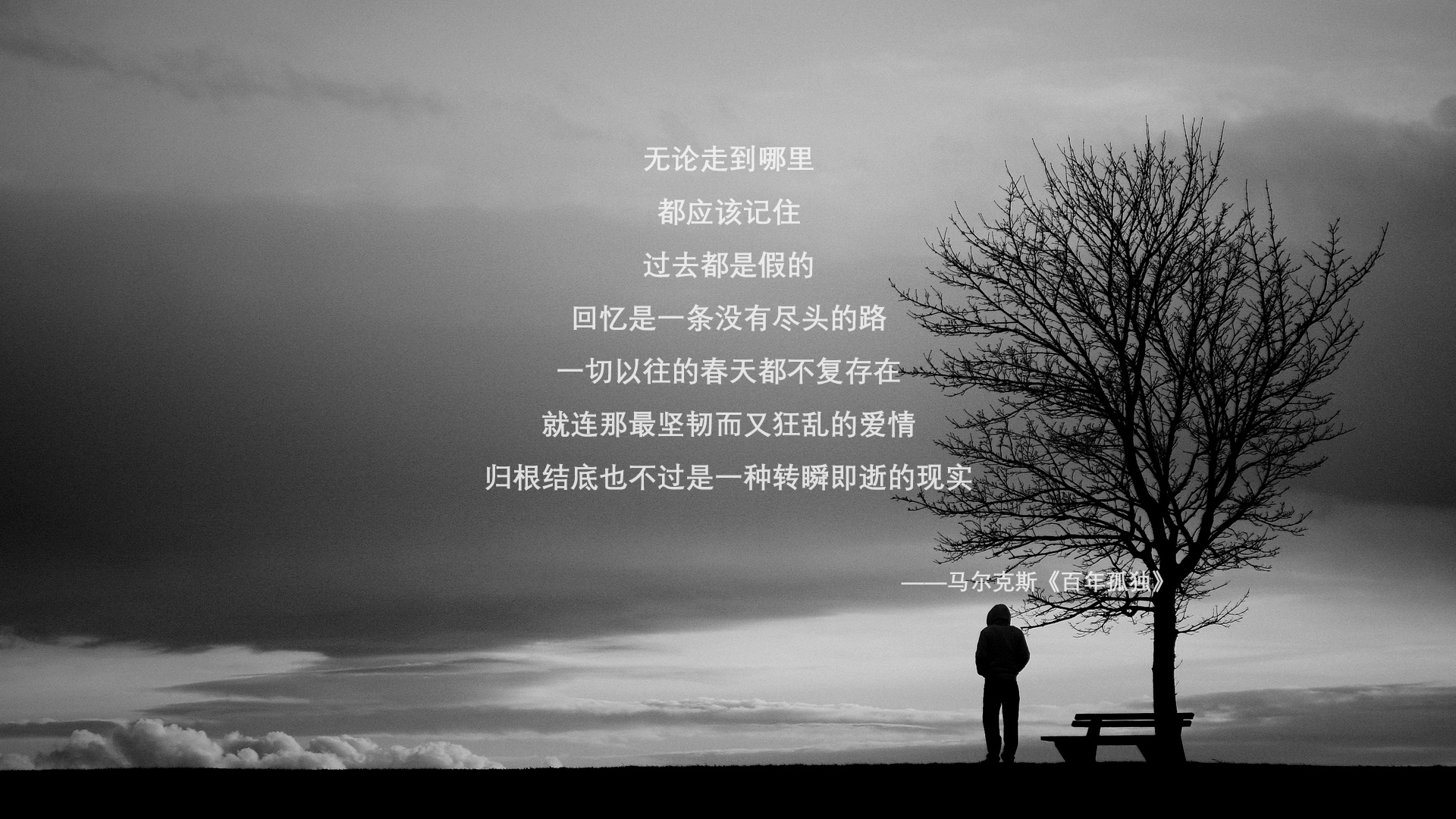_湖人队快速反击，打出精彩表现_，湖人队内单挑