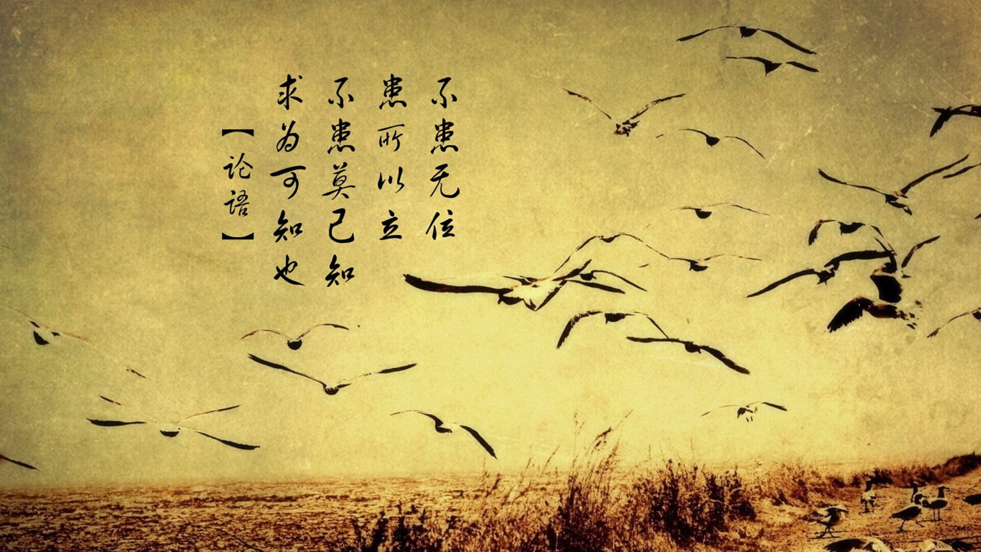_骑士队士气高涨，团队配合逐渐磨合_，骑士队训练