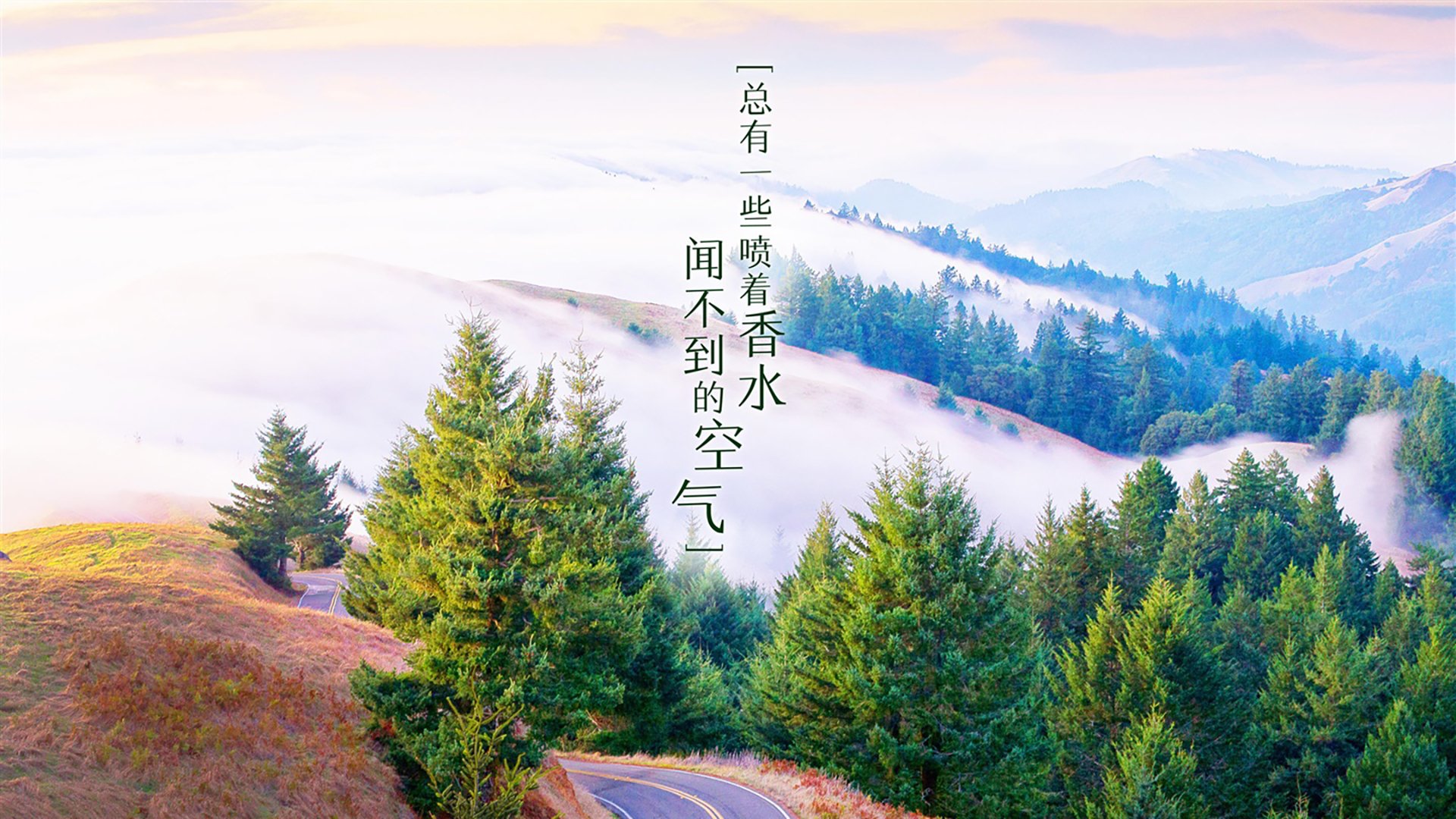 “青春筑梦”青少年篮球文化研讨会在广州成功举办，推动行业交流