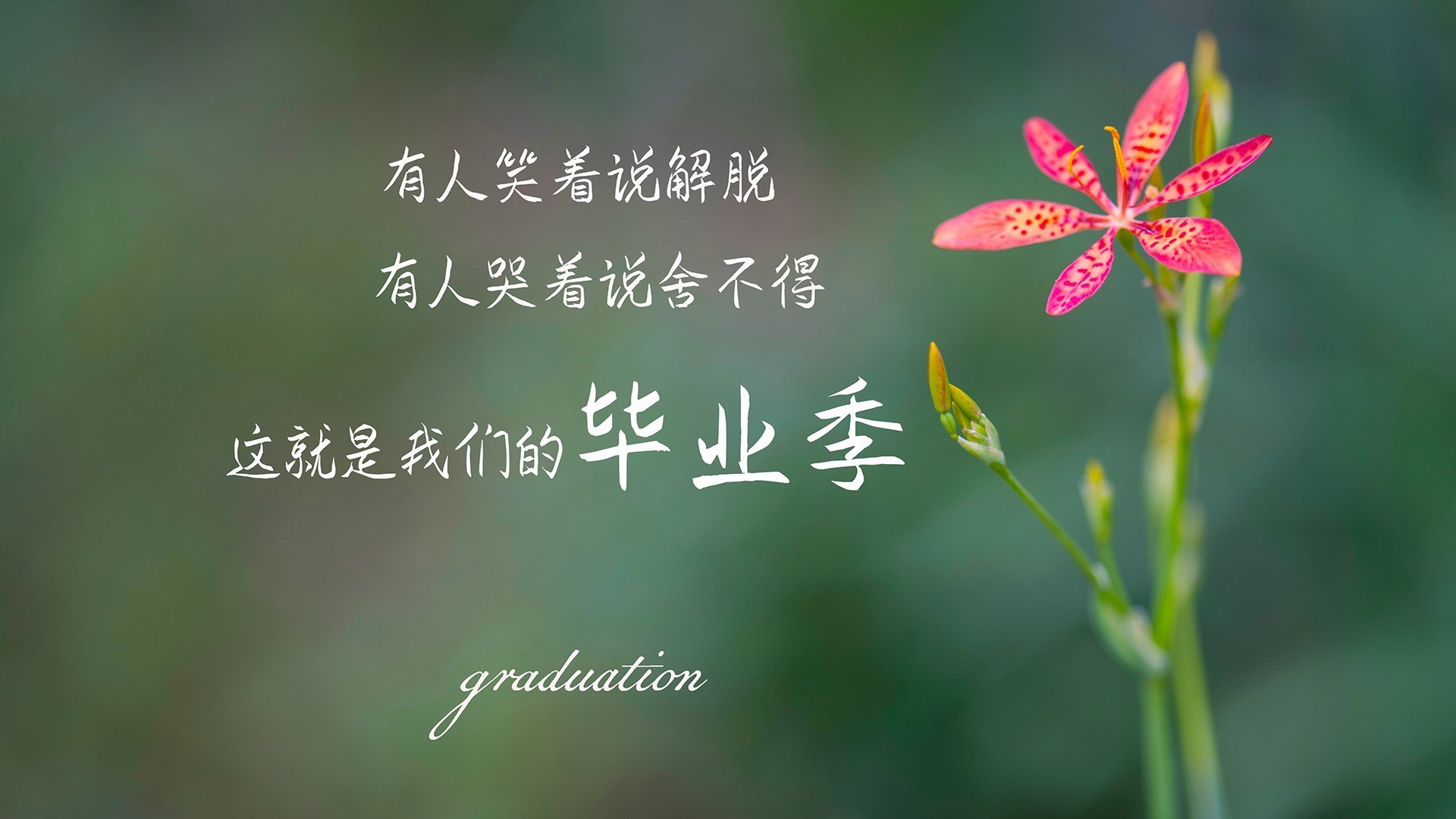 【名将故事】奥沙利文：长青秘诀揭秘，奥沙利文长台集锦