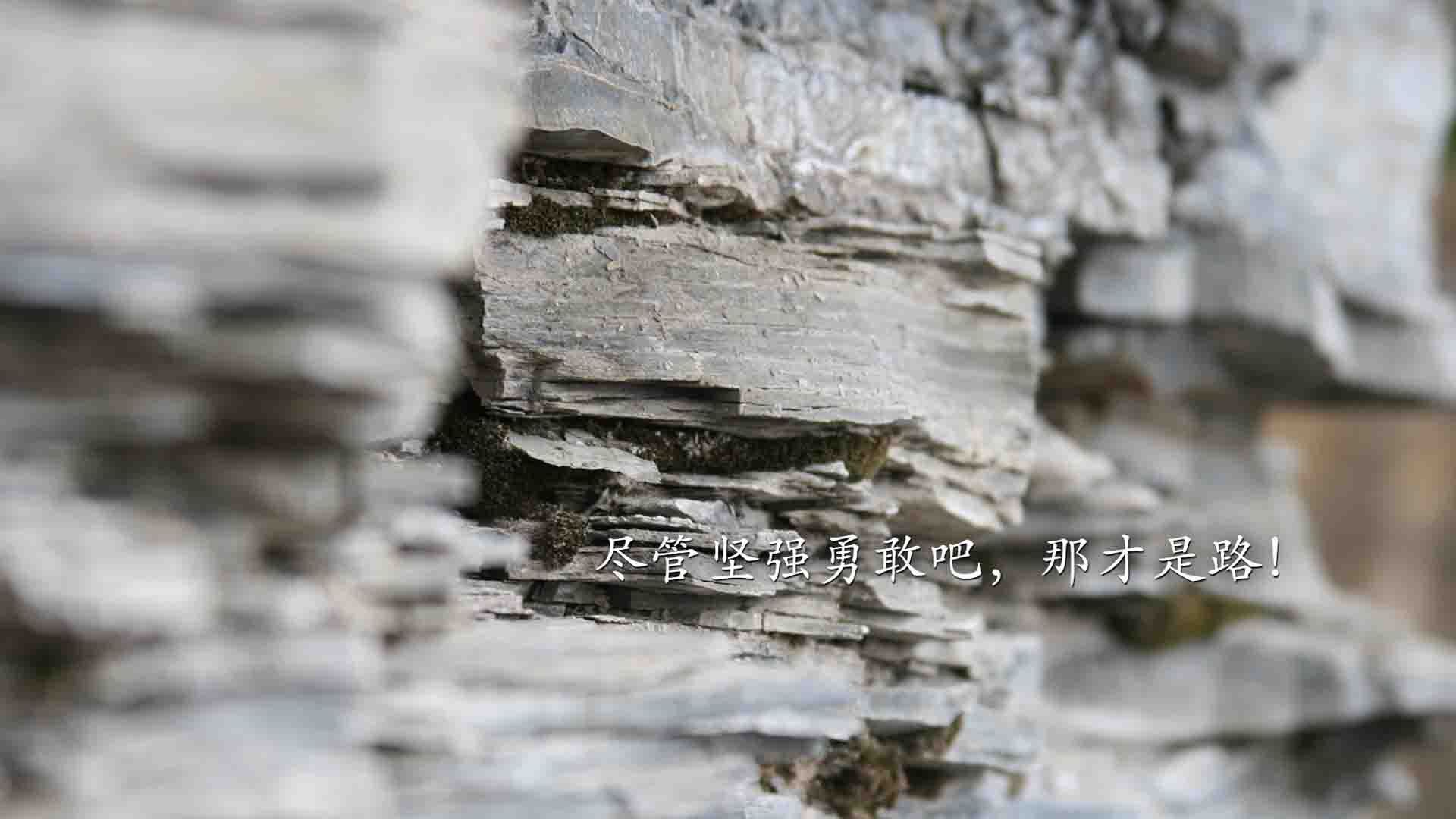 【经典对决】奥沙利文与丁俊晖的巅峰对抗回顾，奥沙利文和丁俊晖哪个厉害