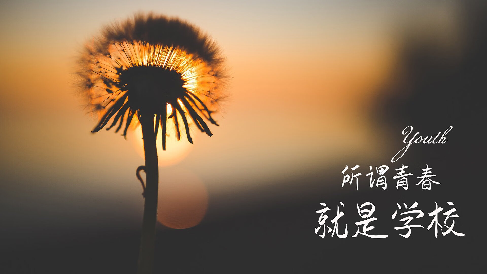 大型铁人70.3赛，速度与耐力的极限考验，kod7铁人赛