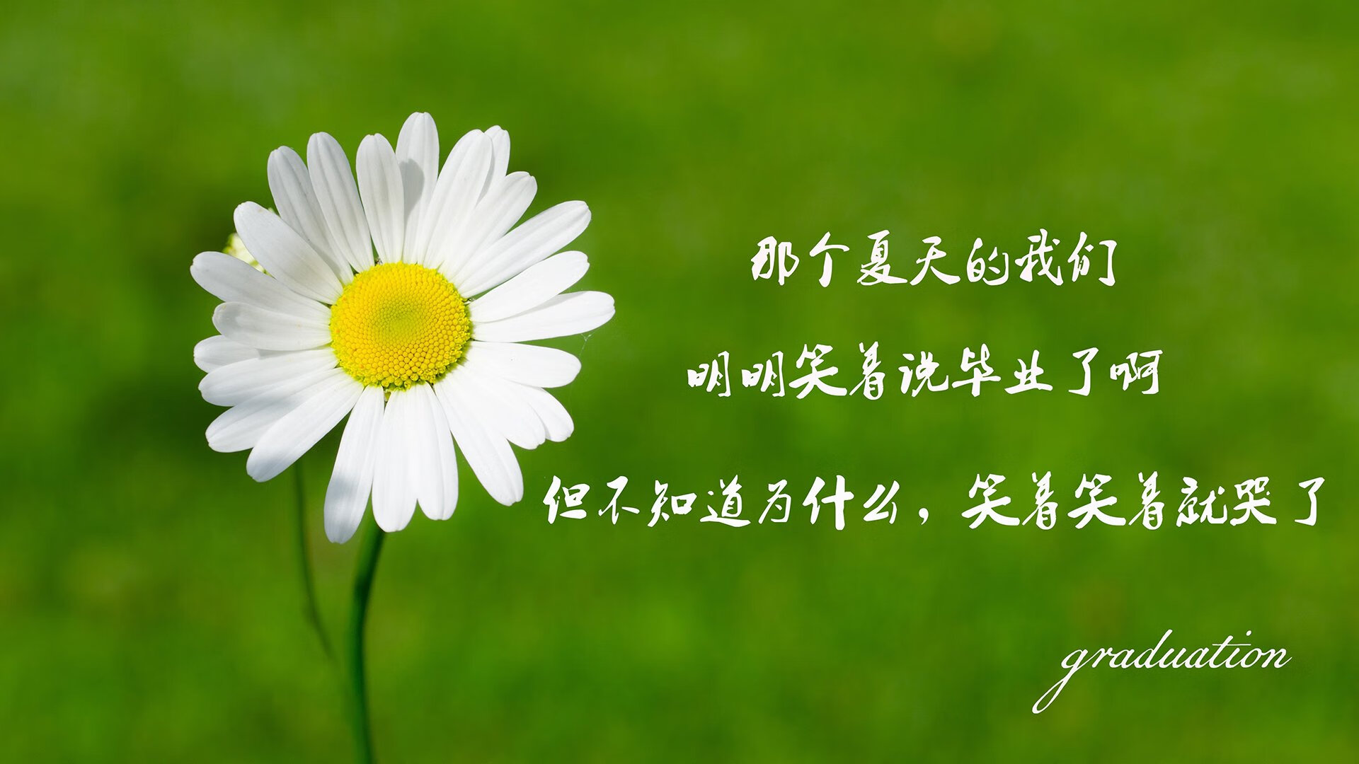 国足在国际比赛中的球员选拔机制分析实施方案，国足入选标准