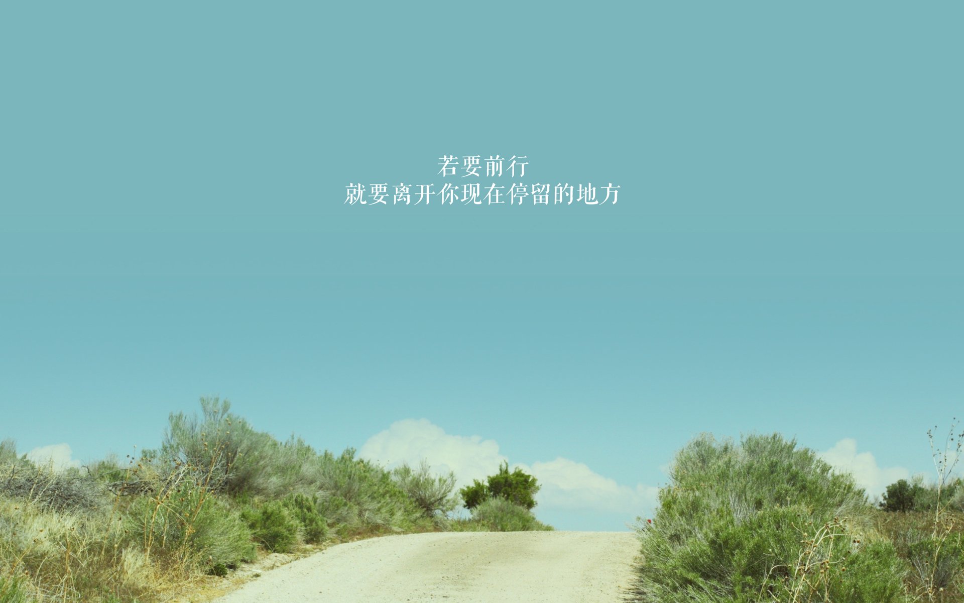 黄蜂中锋健康状况再度恶化 球队前景堪忧，黄蜂现在的球员名单