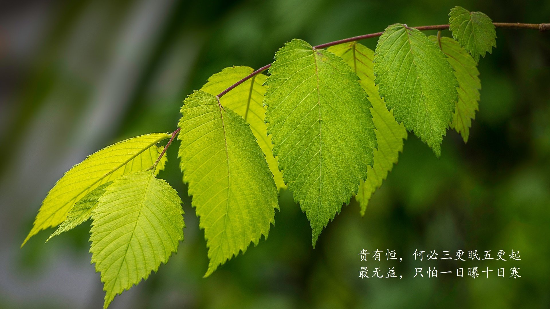 中小学体育课安全教育体系构建，中小学体育教学内容包括哪几类